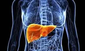 مهمترین علائم تجمع سم در بدن