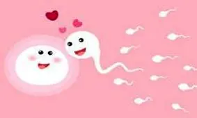 استفاده از کیت تخمک‌گذاری برای دختردار شدن