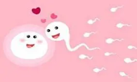 استفاده از کیت تخمک‌گذاری برای دختردار شدن