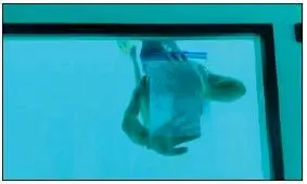 خواستگاری با طعم مرگ