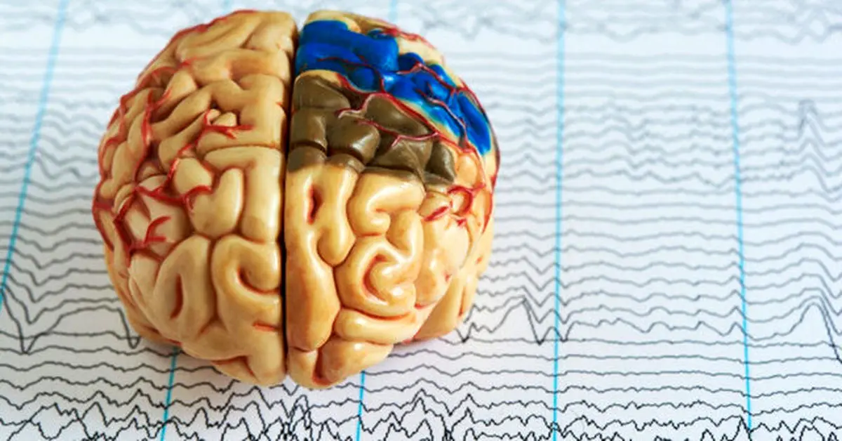 مغز حین خواب خاطرات غیرضروری را پاک می‌کند