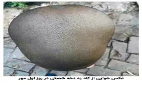 شوخی‌های جالب شبکه‌های اجتماعی؛ روز اول مدرسه