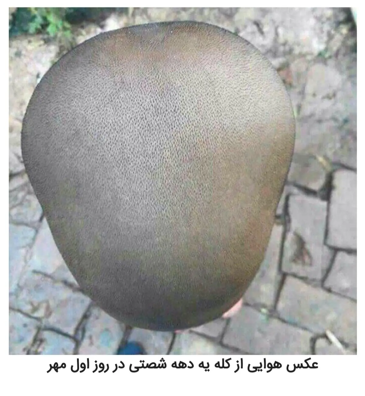 شوخی‌های جالب شبکه‌های اجتماعی؛ روز اول مدرسه