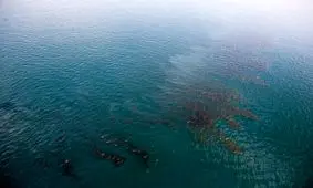 وضعیت آلودگی خلیج‌فارس بحرانی شد