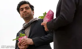 با موسیقی به زبانی جهانی صحبت می‌کنیم