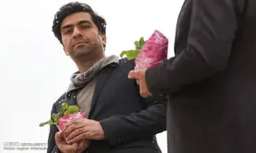 با موسیقی به زبانی جهانی صحبت می‌کنیم