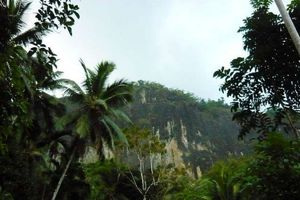کشف ابزارهای شکار 45000 ساله در سریلانکا