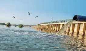 کارون؛ قتلگاه لاک‌پشت فراتی