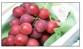 یک حبه انگور ۲۶ دلار