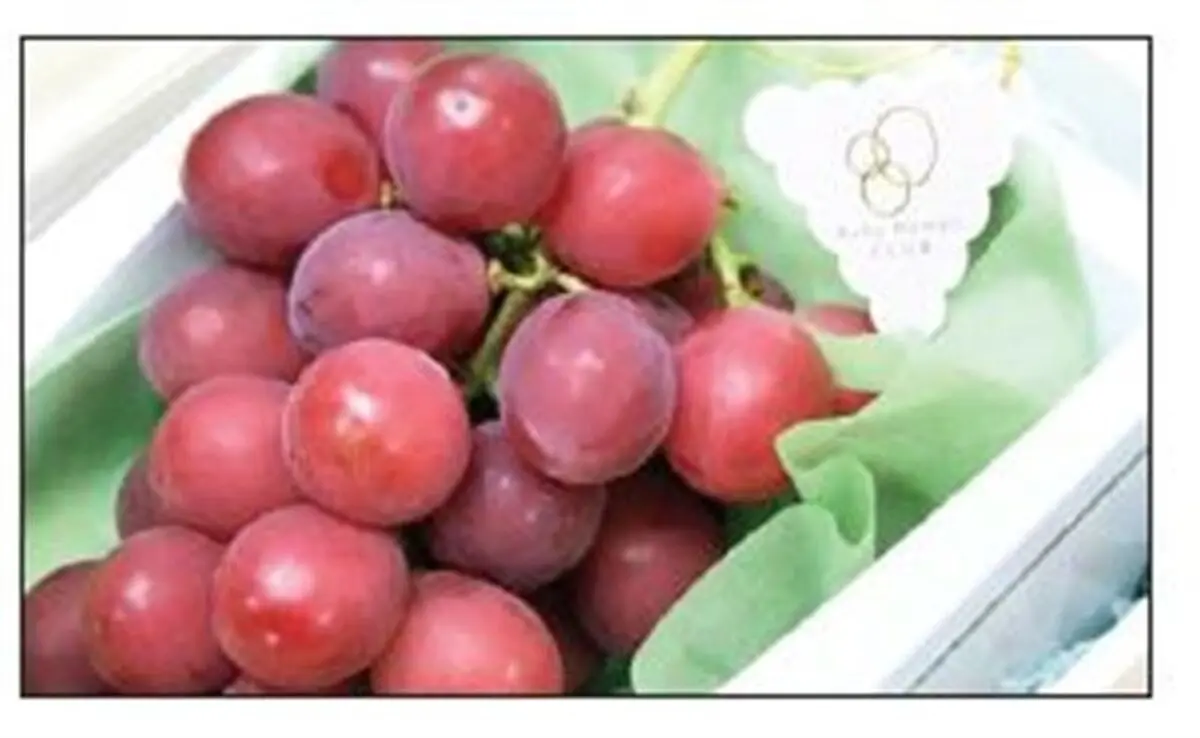 یک حبه انگور ۲۶ دلار