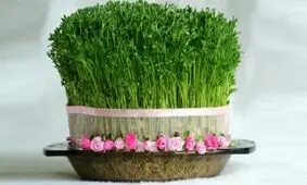 روز سیزده بدر چرا سبزه را به آب می اندازند؟