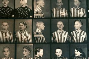  چرا نازی‌ها روی دوقلوها وسواس داشتند؟ / داستان تلخ کودکانی که قربانی آزمایشهای غیرانسانی شدند