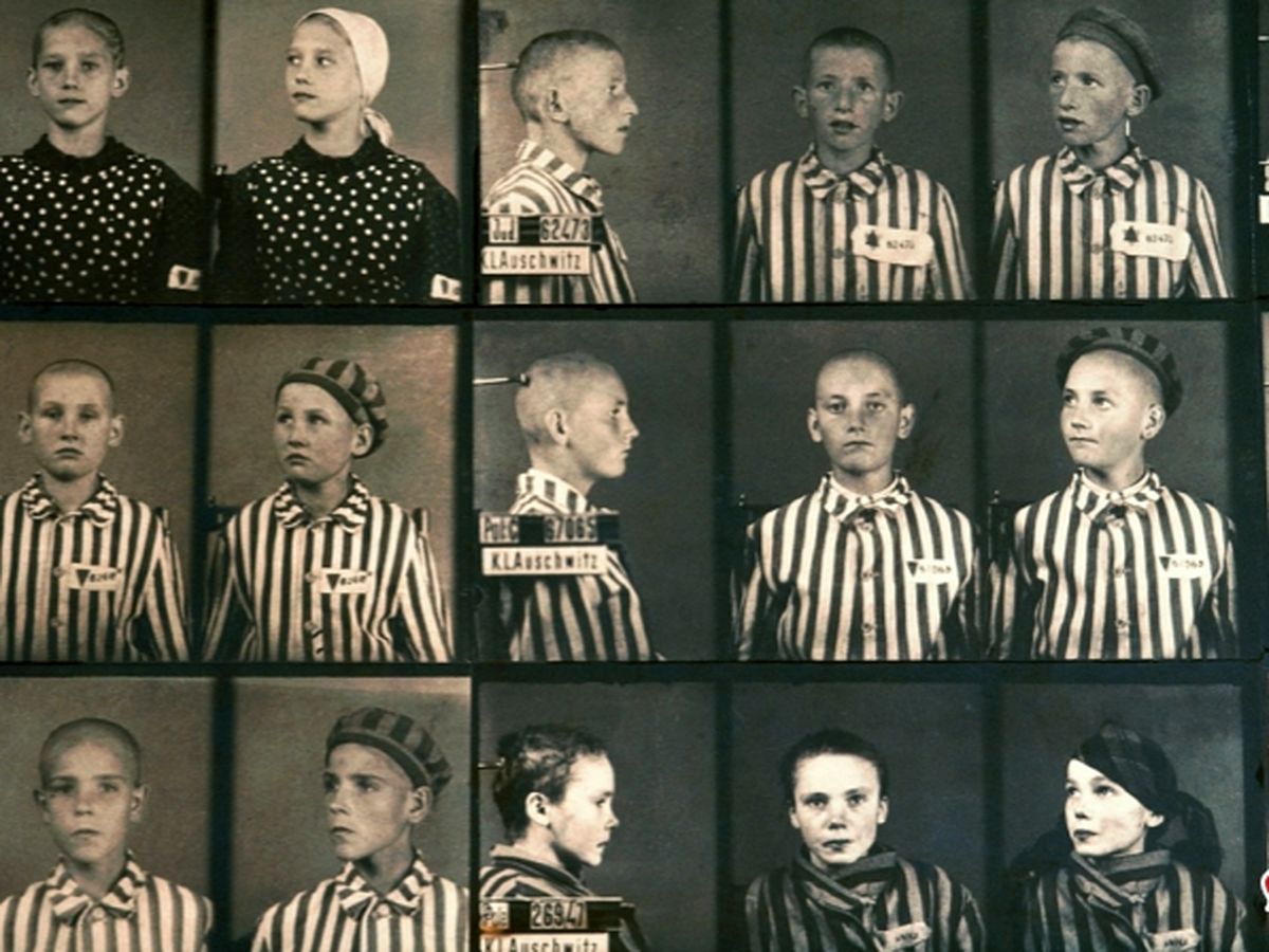  چرا نازی‌ها روی دوقلوها وسواس داشتند؟ / داستان تلخ کودکانی که قربانی آزمایشهای غیرانسانی شدند
