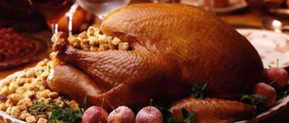 بهترین روش پخت بوقلمون