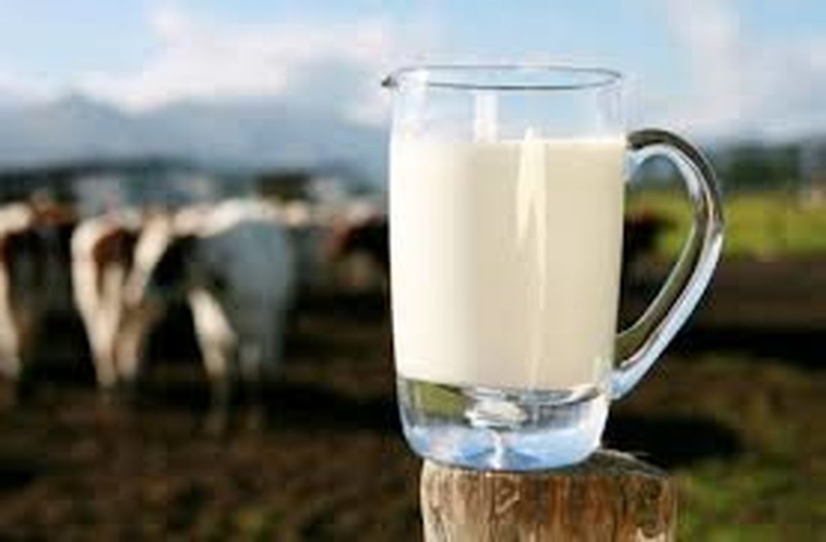 قیمت شیرخام ارتباطی با تغییر در هزینه‌های تولید ندارد