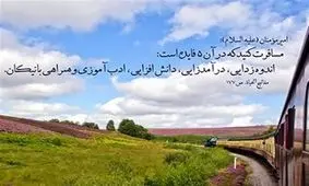مسمومیت با غذای کنسروی کشنده است / ۴ گیاه سفری خطرناک