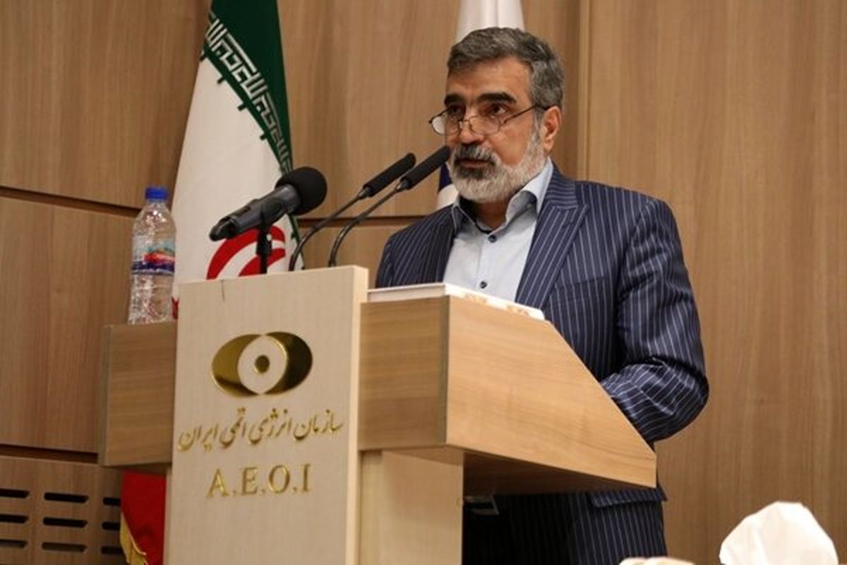 سخنگوی سازمان انرژی: گام‌های بعدی ایران در صورت عدم اقدام طرف‌های مقابل در راه است