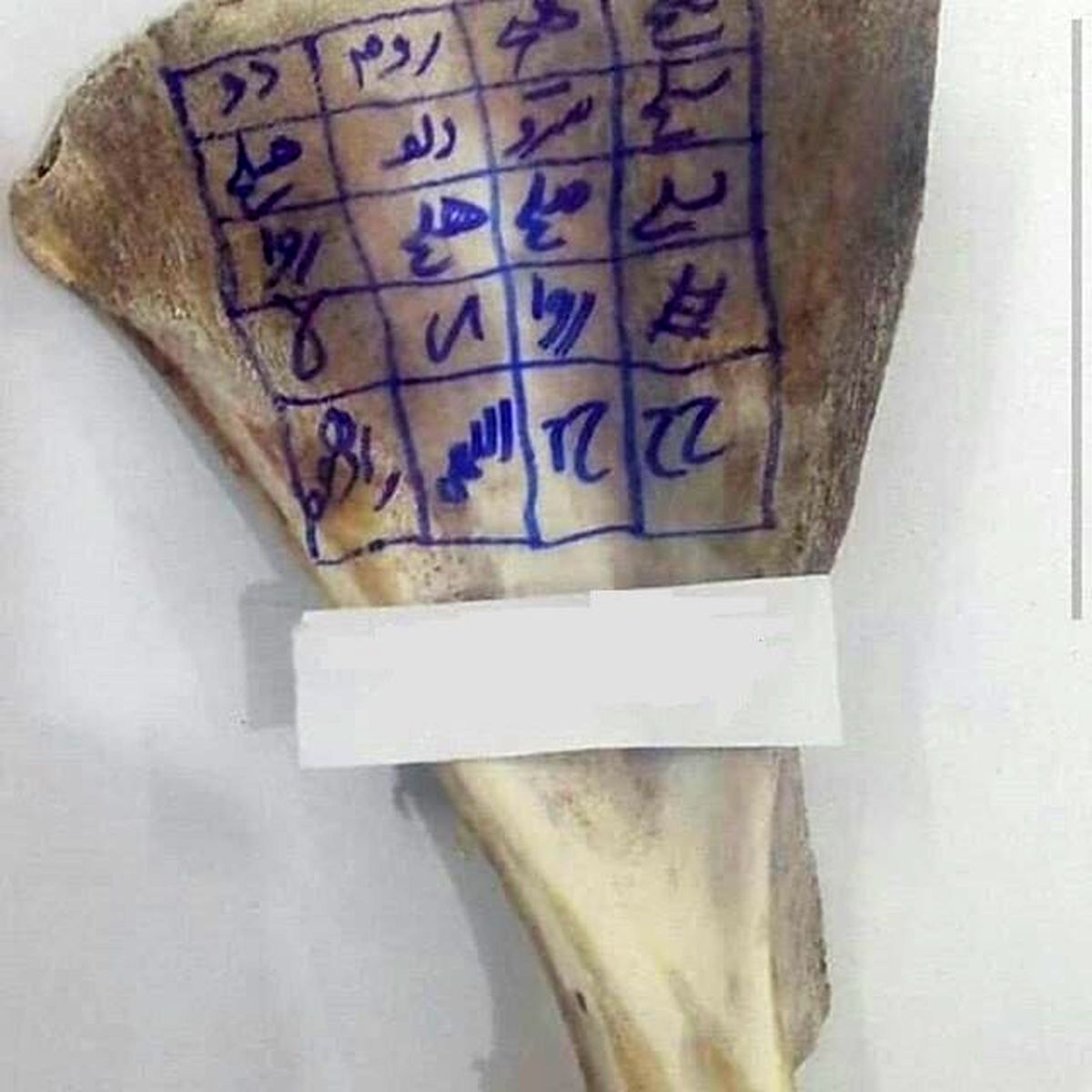 رزق و روزی، حفظ شوهر و انواع طلسم و جادو فقط با چند کلیک!