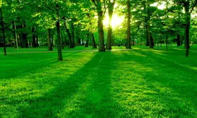 تاثیر فوق العاده طبیعت درمانی بر رفع استرس و افسردگی