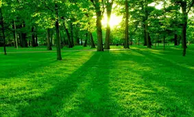 تاثیر فوق العاده طبیعت درمانی بر رفع استرس و افسردگی