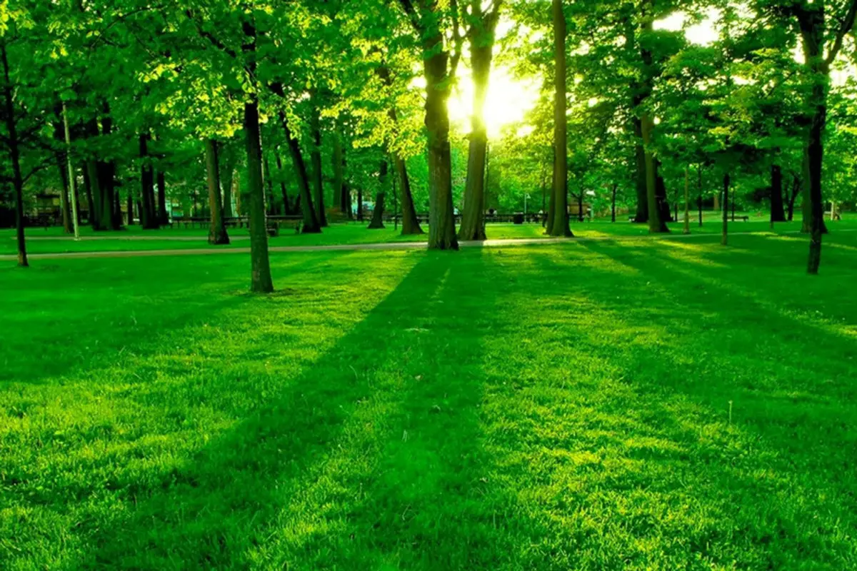 تاثیر فوق العاده طبیعت درمانی بر رفع استرس و افسردگی