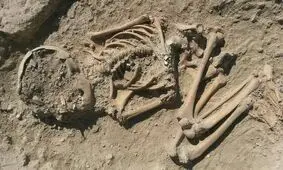 کشف اسکلت ۵ هزار ساله در ترکیه
