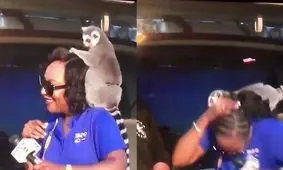 آبروریزی خبرنگار مقابل دوربین زنده تلویزیونی + فیلم