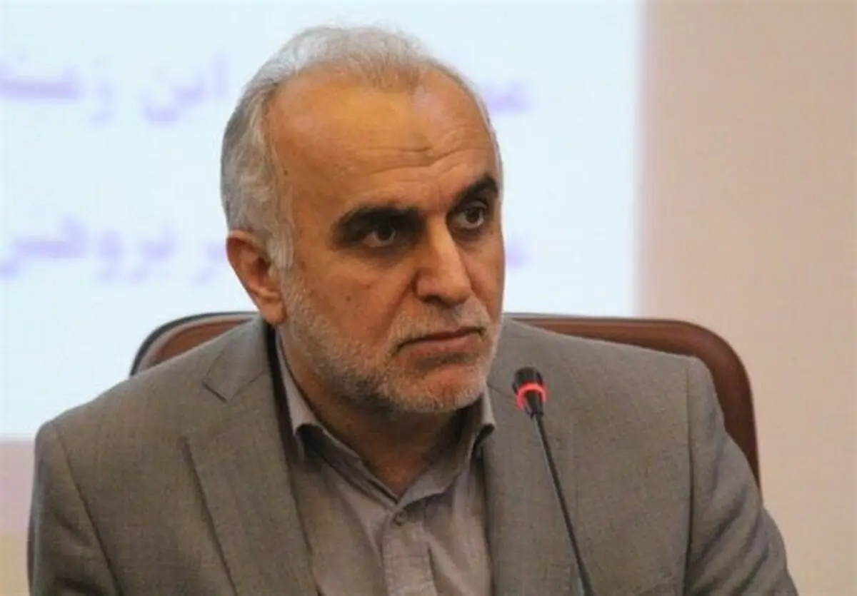 آمار جدید وزیر اقتصاد از فرار مالیاتی / تنها 27 میلیارد دلار ارز به کشور بازگشت