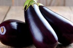 ترفندهای گرفتن تلخی بادمجان