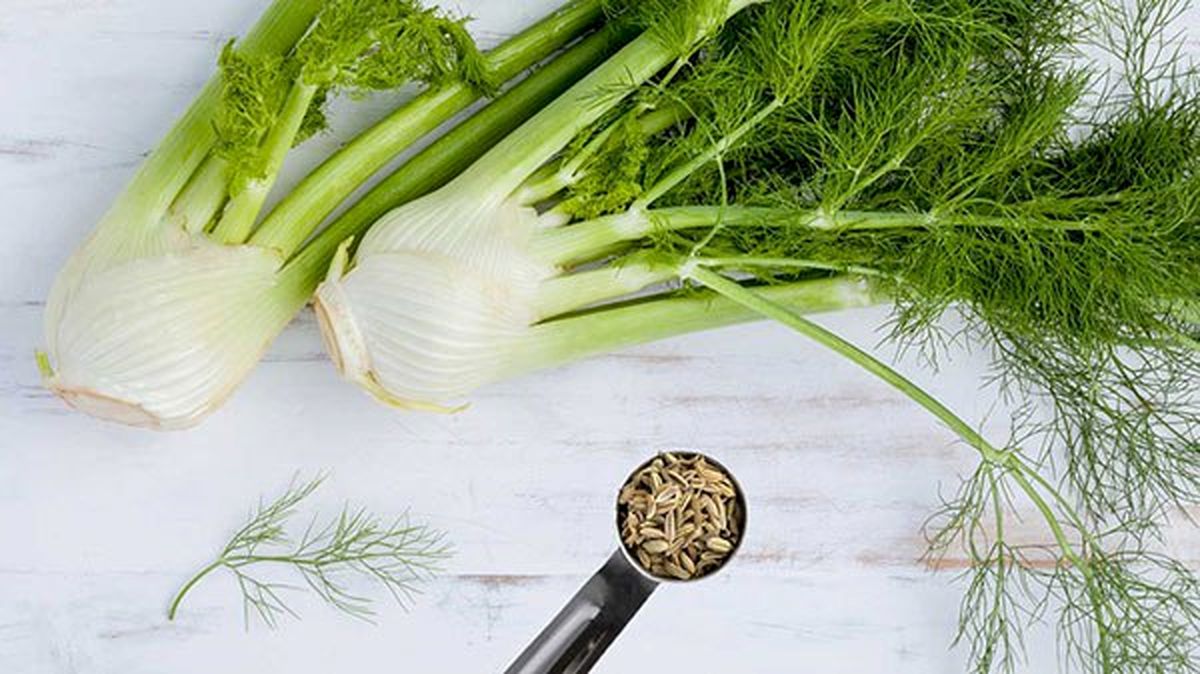 ارزش تغذیهای تخم رازیانه برای کاهش وزن