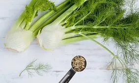 ارزش تغذیه‌ای تخم رازیانه برای کاهش وزن