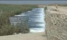 فیلم/ تصاویری از احیای تالاب بین المللی هورالعظیم