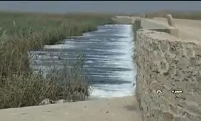 فیلم/ تصاویری از احیای تالاب بین المللی هورالعظیم