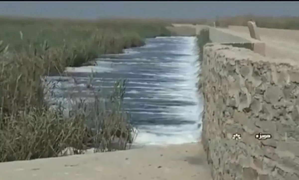 فیلم/ تصاویری از احیای تالاب بین المللی هورالعظیم