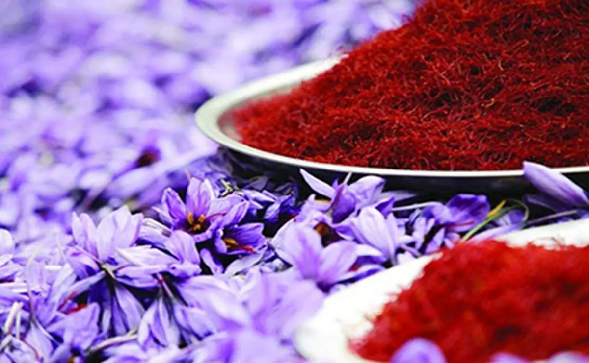 بازار طلای سرخ در رکود به سر می‌برد/ قیمت هر مثقال زعفران حداکثر ۶۰ هزار تومان
