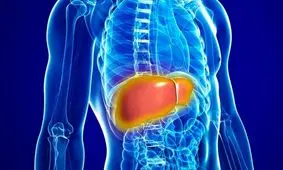 آیا "کبد چرب"  خطرناک است؟