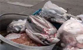 ۱۱ هزار کیلوگرم مواد غذایی فاسد کشف شد