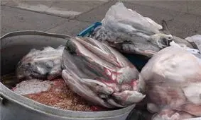 ۱۱ هزار کیلوگرم مواد غذایی فاسد کشف شد