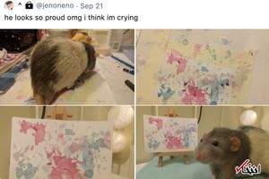 موش نقاش!