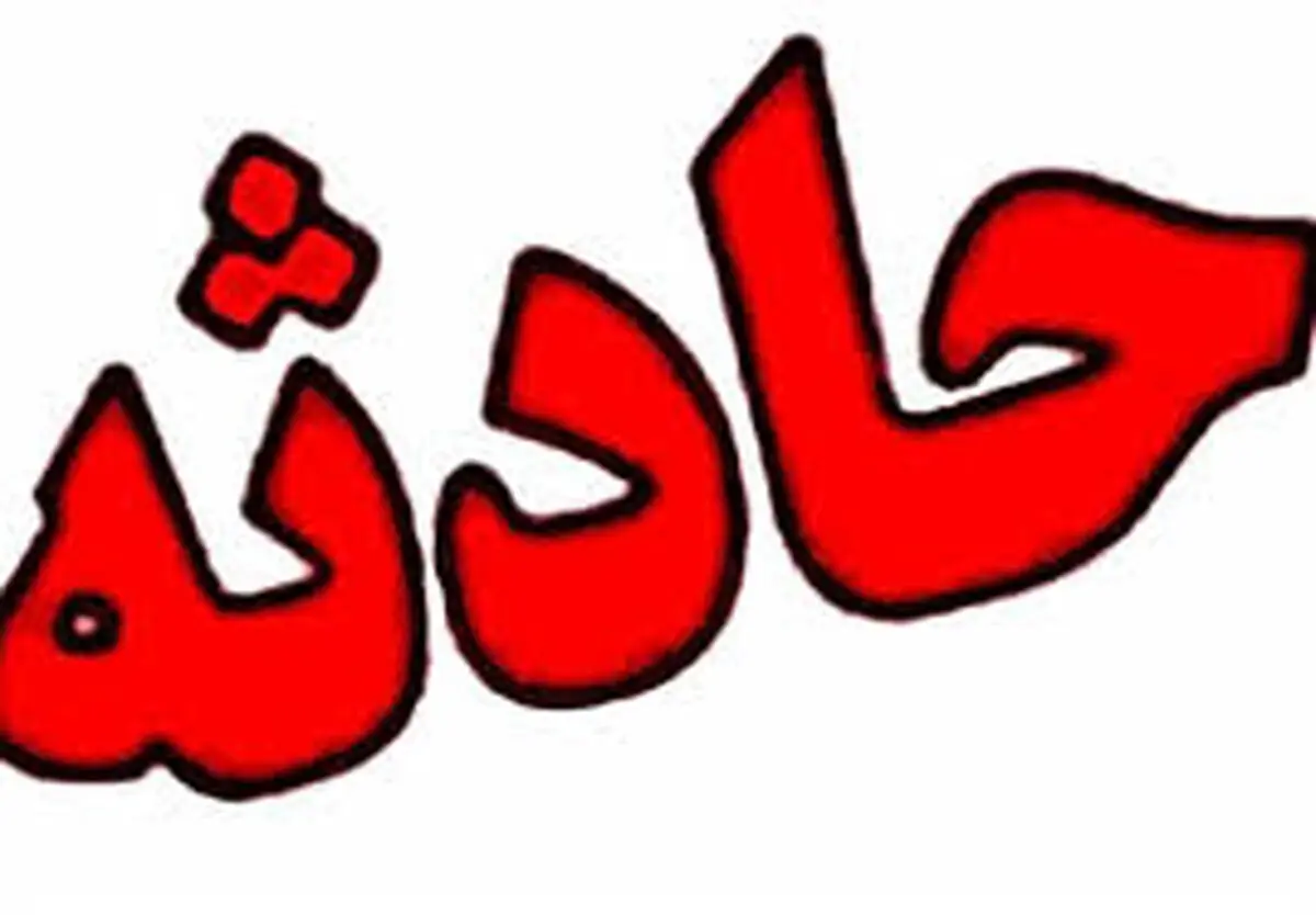 تصادف عجیب شتر با پژو + عکس
