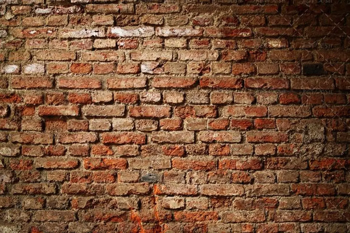 عکس| دیوارنوشت جالب
