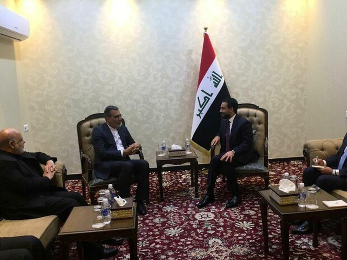 دیدار جابری انصاری با رئیس مجلس عراق/آخرین هماهنگی‌ها برای اربعین