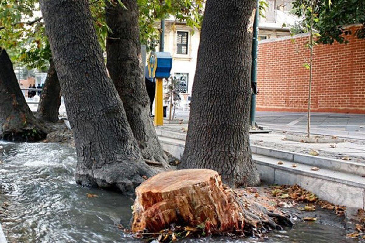 شناسایی ۱۰ هزار خطر در بوستانهای پایتخت