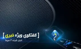 پور ابراهیمی: مناطق آزاد به دپوی واردات تبدیل شده/ در بسیاری از مناطق آزاد گمرک مستقر نیست