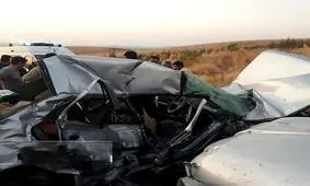 یک گاو 3 زن و 2 مرد عراقی را در خرمشهر زخمی کرد!