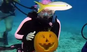 مسابقه کنده‌کاری روی کدو‌ تنبل در اعماق آب‌های فلوریدا