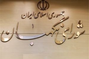 شورای نگهبان برای بررسی طرح تشکیل وزارت بازرگانی استمهال کرد