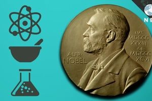 آنچه که در نوبل امسال گذشت