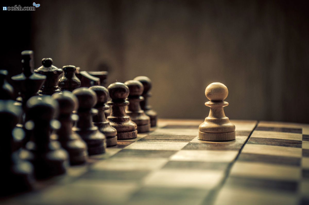 حامدی‌نیا: حمایتی از شطرنج‌بازان صورت نمی‌گیرد