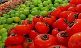قیمت نوبرانه‌های پاییزی در مشهد کاهش یافت